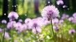 Beautiful purple dandelion on the meadow with sunlight  on bokeh background. Created with Generative AI