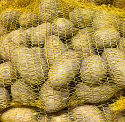 Poster - Potatoes on the market counter. Background