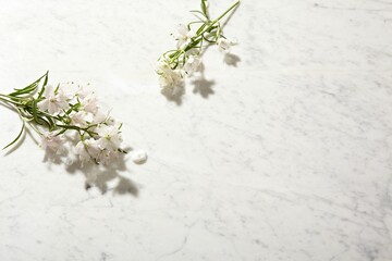 a beautiful spring flower against a white marble table background. top view. An empty space for display cosmetic products, food and props.