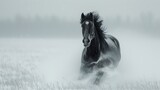 Fototapeta  - Black stallion on a foggy winter field. 3d rendering - Generative AI