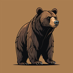 vector of wild bear, wildlife
