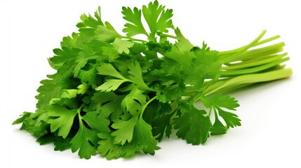 Wall Mural - bunch of parsley isolated on white background