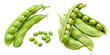 fava Beans isolated on transparent background