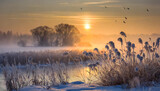 Fototapeta Na sufit - Zimowy mglisty poranek nad jeziorem. Generative AI