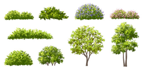 Wall Mural - vector watercolor blooming flower tree or forest side view isolated on white background for landscap