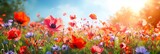 Fototapeta Do przedpokoju - Vivid Floral Field Against a Sunny Background. Made with Generative AI Technology