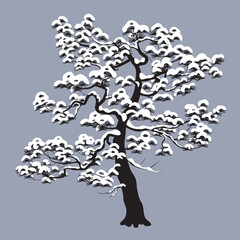 Wall Mural - Monochrome Snow Covered Pine Tree Isolated on Gray