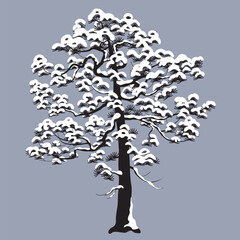 Wall Mural - Monochrome Snow Covered Pine Tree Isolated on Gray