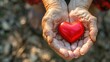 © buraratn - Elderly senior person or grandparent's hands with red heart in support of nursing family caregiver for national hospice palliative care and family caregivers month concept
