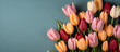 Colorful tulip bouquet flower background. Floral spring wallpaper, banner. February 14, valentine's day, love, 8 march international women's day theme.	
