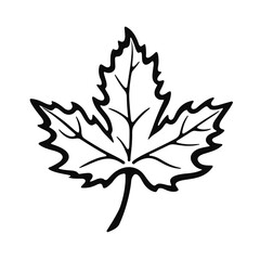 maple leaf vector illustration, isolated