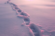  the footprints of a calming person on snow-covered ground, rhythm emphasizing extreme unpleasantness and a complete lack of beauty, pale pink lights.