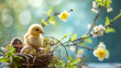 Small Yellow Bird Sitting in Nest