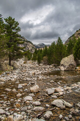 Wall Mural - Torrent pyrénéen dans le parc national d'Aïguestortes, Caldes de Boí, Espagne