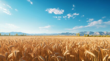Aufkleber - A picturesque rural landscape highlighting the vastness of mature wheat fields ready for harvest under a clear blue sky. Generative AI