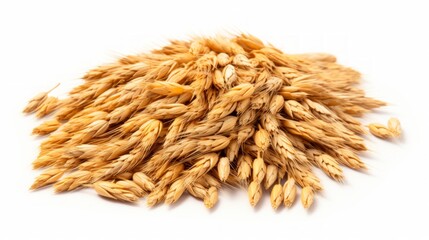 Aufkleber - A close-up realistic photo of a small pile of wheat grains on a white background Generative AI