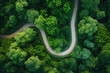 Winding Road Through Lush Green Forest
Aerial view of a serpentine road slicing through a dense canopy of vibrant green trees, illustrating the intersection of nature and infrastructure.
