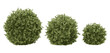 Realistic shrubs collection on white background.Set of shrubs