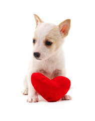 Poster - Dog with heart.