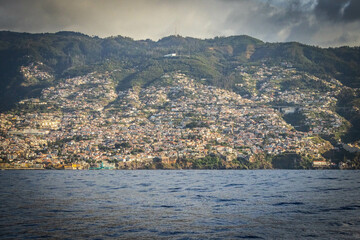 Wall Mural - coastline of funchal, madeira, portugal,  panorama, europe, lava formation, cliff