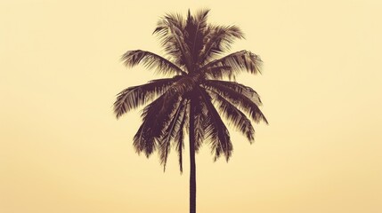 Flat icon design featuring a vintage filter background, showcasing the silhouette of a palm tree during a sunset.