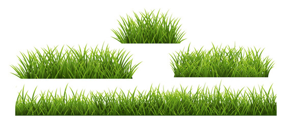 Wall Mural - Grass Border Set And Isolated White Background