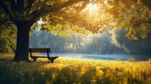A Bench Under The Tree Next To Water, Golden Hour, Generated With AI