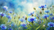 eine blaue Kornblumenwiese im Sommer