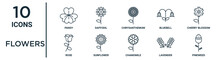 Flowers Outline Icon Set Such As Thin Line Pansy, Chrysanthemum, Cherry Blossom, Sunflower, Lavender, Pineweed, Rose Icons For Report, Presentation, Diagram, Web Design