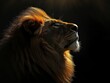© Femke - Fine art lion with a black background low key animal africa photo