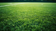 green grass football field close up