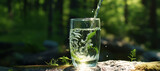 Fototapeta Łazienka - fresh clear mineral water in a glass with forest background 78