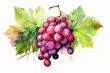 Illustration of grape and muscat in watercolor with leaf elements. Generative AI