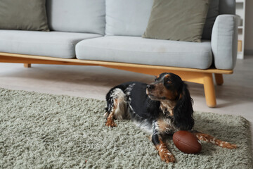 Sticker - Cute cocker spaniel with ball on green carpet at home