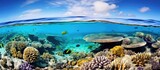 Fototapeta Do akwarium - Great Barrier Reef underwater photographers and ocean lovers delight in vibrant sea life.