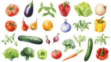 Watercolor Painted Hand-drawn Collection Vegetables And Fruits. Design Elements: Greenery, Leaves, Corn, Wheat, Tomato, Potato, Leaves, Stalks, Broccoli, Carrot, Pepper, Garlic Transparent Background