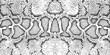 © Natallia - skin snake texture pattern boa black white print