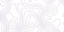 Abstract Background With Topographic Contours Map .white Wave Paper And Geographic Purple Line Abstract Background .vector Illustration Of Topographic Line Contour Map Design .
