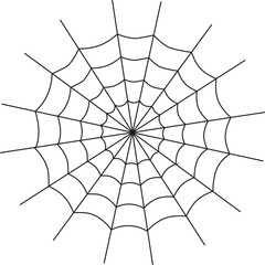 Wall Mural - Spider web vector design.