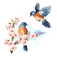 Wall Mural - Birds  and cherry blossom branch. Spring card concept. Watercolor hand drawn illustration  isolated on the white background