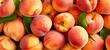 Juicy Peaches Close-up, Fruit Banner, Soft Texture Background