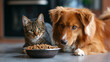 Cat and dog share a meal in a serene domestic moment, AI Generative.