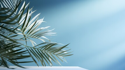Wall Mural - tropical palm leaves with shadow on blue background minimal nature summer styled flat lay free copy space for text