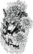 Wolf tattoo vector , Courage in Bloom: Symbolic Strength and Determination through Wolf and Floral Tattoo