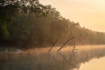 Wall Mural - Scenic golden light landscape view of mangrove at dawn in Sundarbans national park, a UNESCO world heritage site, Bangladesh