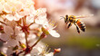 bee on spring beautiful landscape background