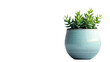 A minimalist mint green plant pot on a white solid background. 