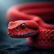 vivid red serpent with captivating gaze
