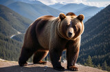 Niedźwiedź brunatny z bliska w górach.