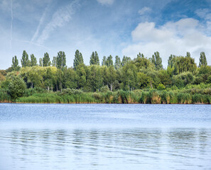 Canvas Print - summer hazy day on picturesque lake
